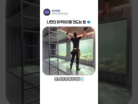 강물 속에 집을 지었다고? ㄷㄷ 🐟 #건축 #DIY #ai