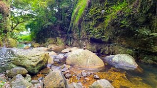 Discover Relaxing Soft River Music for Unbeatable Focus screenshot 3