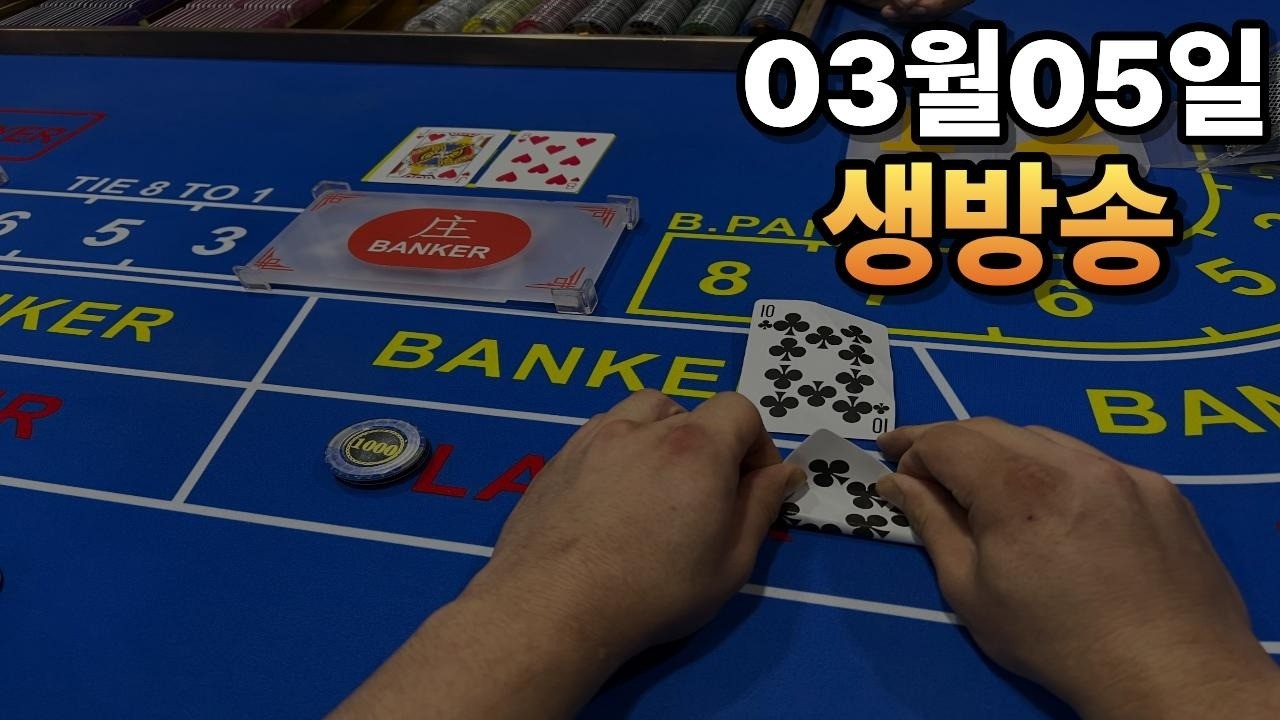 겜블 시작 해보겠습니다!