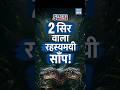 Red Sand Boa Trafficking | क्यों है ये “Two-Headed Snake” इतना Rare? | NEXT IAS HINDI