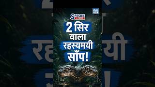 Red Sand Boa Trafficking | क्यों है ये “Two-Headed Snake” इतना Rare? | NEXT IAS HINDI