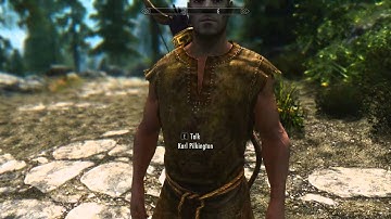 An Idiot in Skyrim