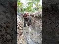 Amazing Desi Jugaad by Farming #Desi #Jugaad #Jugad #Farming #Kheti #Khetibadi #Agriculture #easy