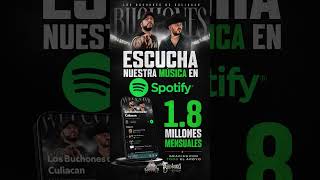 escucha Alós BUCHONES de Culiacán