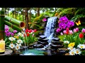 Soothing Sleep Music 🌙 Relaxing Nature Ambience for Deep Rest &amp; Stress Relief