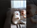 BERCANDA DENGAN KUCING (THE BABY AND THE CAT) #ai #animals #pets