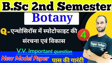 Structure and development of sporophyte in Anthoceros, BSc 2nd Semester Botany, B.Sc 2nd semester