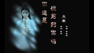 你还是从前的你吗 - 大欢 - 无损音乐