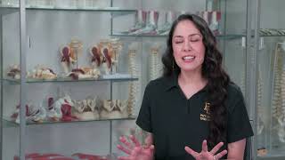 Baylor DPT Clinical Rotation Preparation