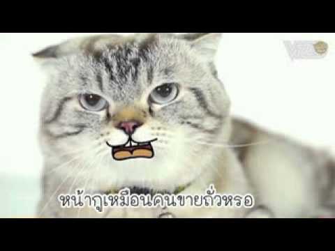 กอดไม่ได้ ชิปมั้ง