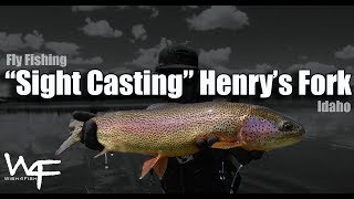 W4F - Fly Fishing Idaho "Sight Casting" Henry's Fork