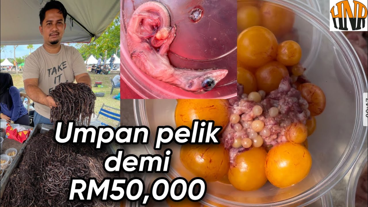 Pelbagai umpan ‘RARE’ digunakan pemancing