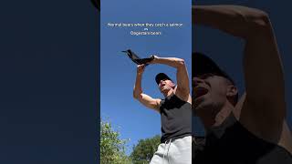 Normal bears when they catch a salmon vs Dagestani bears. #shorts #skit #ufc #funny