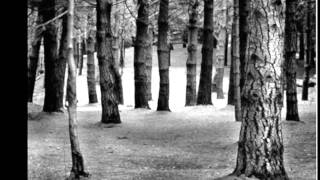 Ancestral - Isolation II