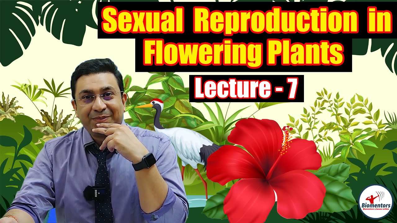 Sexual Reproduction in Flowering Plants l Lecture 7 l Biology l NEET