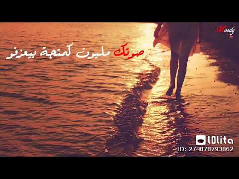 الكنج محمد منير حلات واتس اب تيتو بيه شخصيااا 