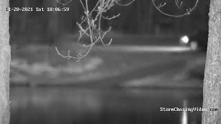 Mississippi River Wildlife Camera, Brainerd, MN