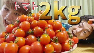 【大食い】Fラン大学生がトマト2kg大食いした結果が面白すぎたwww
