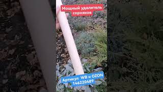 долой одуванчики из огорода. Арт 146220489 #дача #сад #огород