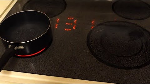 AVR Non-Contact Temperature Projector