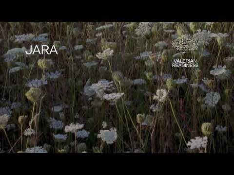 Fleet Foxes - &quot;Jara&quot; (Lyric Video)