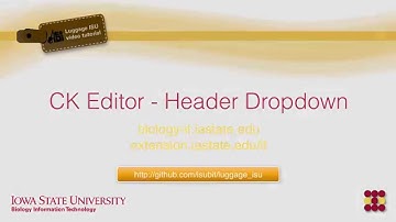 CKEditor Header Dropdown Menu - Luggage