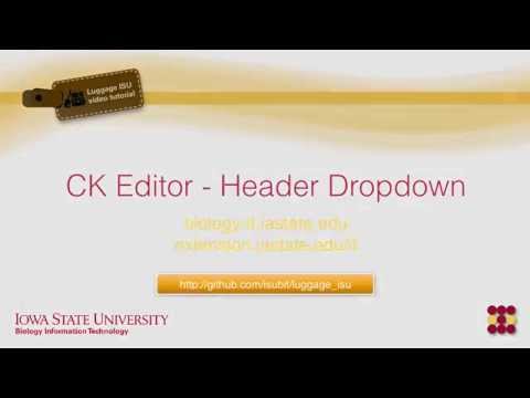 CKEditor Header Dropdown Menu - Luggage