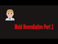 Inspection Plus - Mold Remediation Part 2