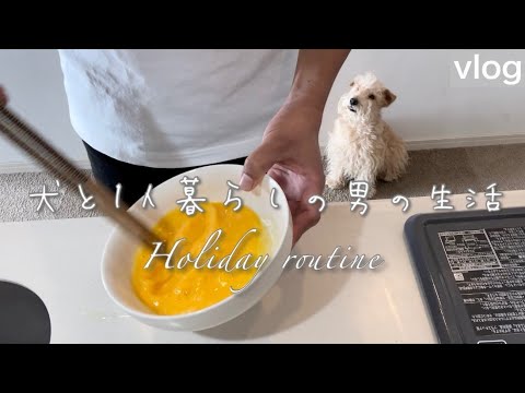 【vlog】犬と暮らす一人暮らしの男。レイクランドテリア(lakeland terrier)