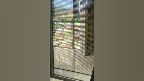 Venetian Integral Blinds
