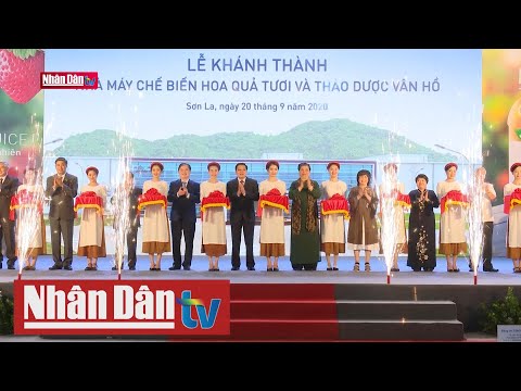 Video Khánh thành Nhà máy chế biến hoa quả và thảo dược tại... - youtube