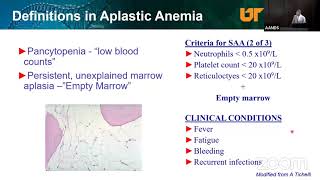 Transplantation for AA, MDS, and PNH Adult and Living Well During and After Transplant - Memphis PFC