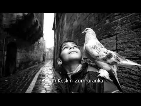 Zümrüdüanka – Birhan Keskin (ŞİİR)