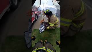 Unexpected Hero: Cat Guides Rescue in Burning Home 🐱🔥🐶#warmth #touching #cat #bravecat #fire