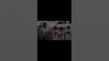 ﴿ ويسقون فيها كأسا كان مزاجها زنجبيلا ﴾ تلاوة قديمة مُحبَّرة تفوق الوصف ، القارئ : ياسر الدوسري ♥️🍃