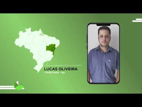 NÃO É DE DESCARTE, É VACA GORDA MESMO. CONFIRA O CAPRICHO DE PECUARISTA NA BAHIA