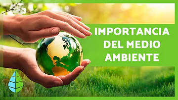 ¿Cuál es la importancia del medio ambiente verde?