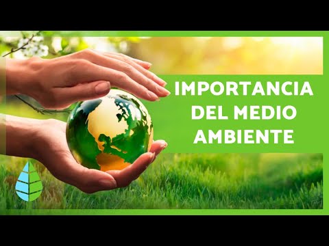 Video: Protege la naturaleza para salvar tu vida