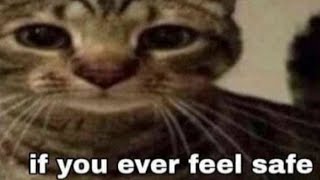if you ever feel safe