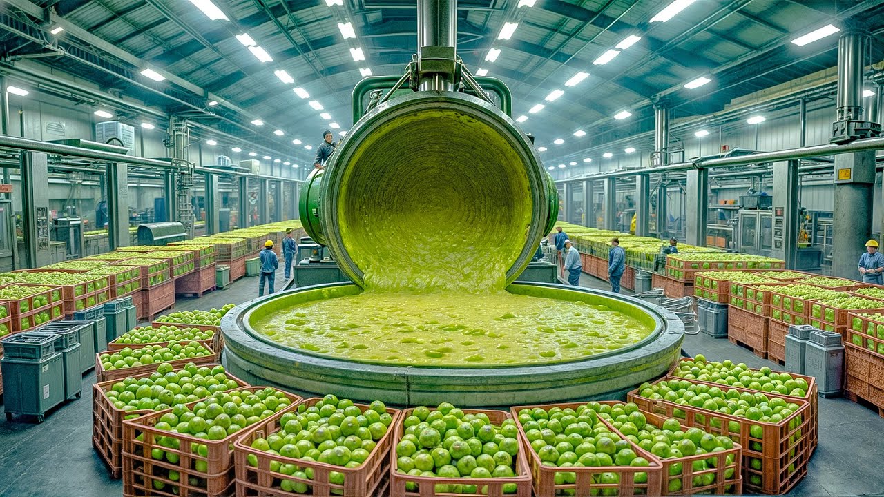 Avocado Mega Factory: How Guacamole Is Made In A Factory - YouTube