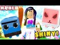 MAKING SHINY PETS AND GETTING LEGENDARIES FROM THE 25 REBIRTH EGG! | Roblox Pet Ranch Simulator