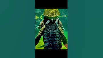 Fresno Chaffee Zoo 1