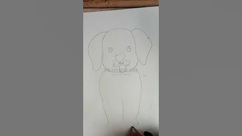 How to Draw a Dog: Step-by-Step Drawing Tutorial for Beginners