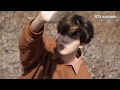 [EPISODE] BTS (방탄소년단) LOVE YOURSELF 轉 'Tear' Jacket shooting sketch