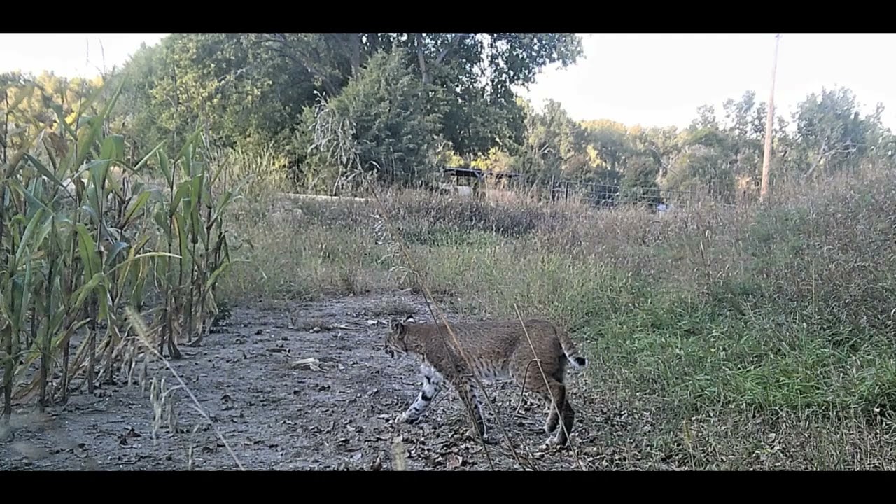 NATURE PHOTOGRAPHY IN NEBRASKA