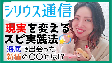 シリウス星人の特徴 性格 霊性と自然の力を伝える魂 宇宙の兄弟たちへ تحميل Download Mp4 Mp3 シリウス星人の特徴 性格 霊性と自然の力を伝える魂 宇宙の兄弟たちへ تحميل Download Mp4 Mp3