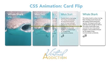 CSS Animation card flip