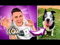 HIPNOTIZEI O MEU CACHORRO! | O MUNDO DE SIMBA #18