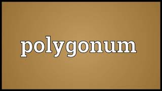 polygonum meaning in English