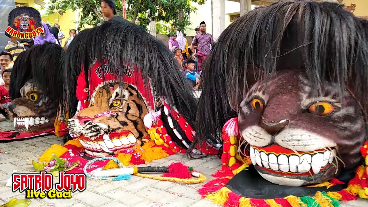 OPENING !! Pentas Barongan Satrio Joyo live Apitan Desa Guci | Ritual Pembukaan Barongan Biar Ngamuk